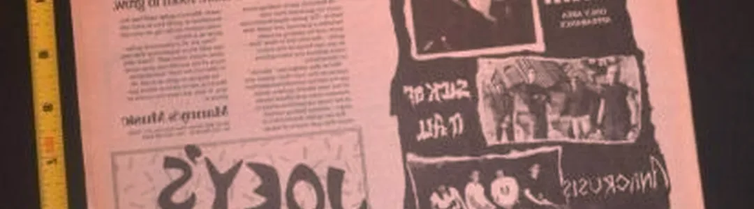 D.R.I. (Dirty Rotten Imbeciles)