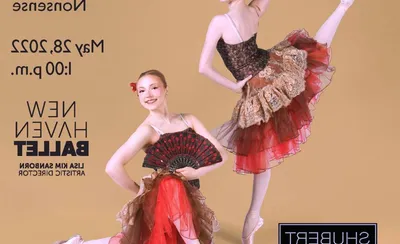 Don Quixote - Ballet