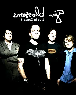 Gin Blossoms