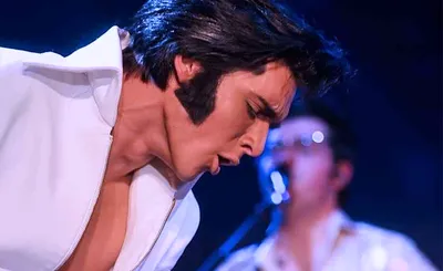 Matt Stone as ELVIS