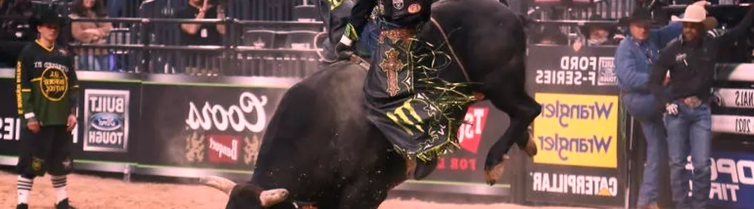 PBR Team Series