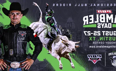 PBR Teams