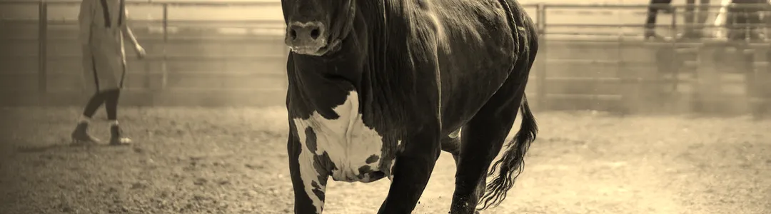 Red Dirt Rodeo