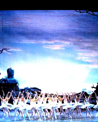Swan Lake - Symphony of Lights