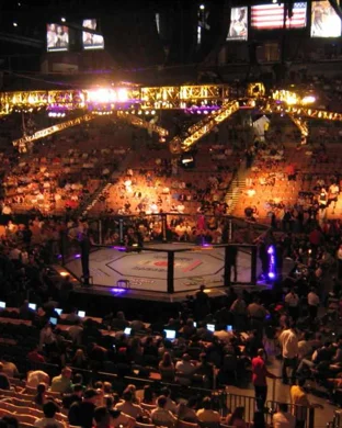 UFC Fight Night: du Plessis vs. Usman sports event