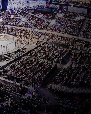 UFC Fight Night sports event